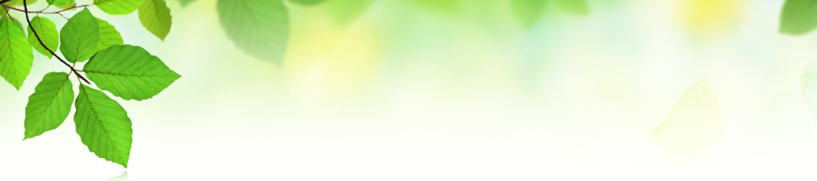 ���Y���̃h�b�O�t�[�h�@�������߂͂ǂ�H